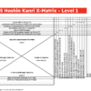 Hoshin Kanri BUNDLE: X-Matrix & TTI Bowler