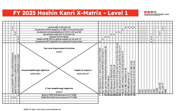 Hoshin Kanri BUNDLE: X-Matrix & TTI Bowler